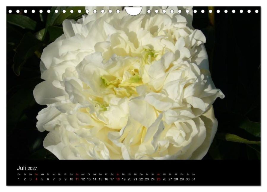 InsideView 12