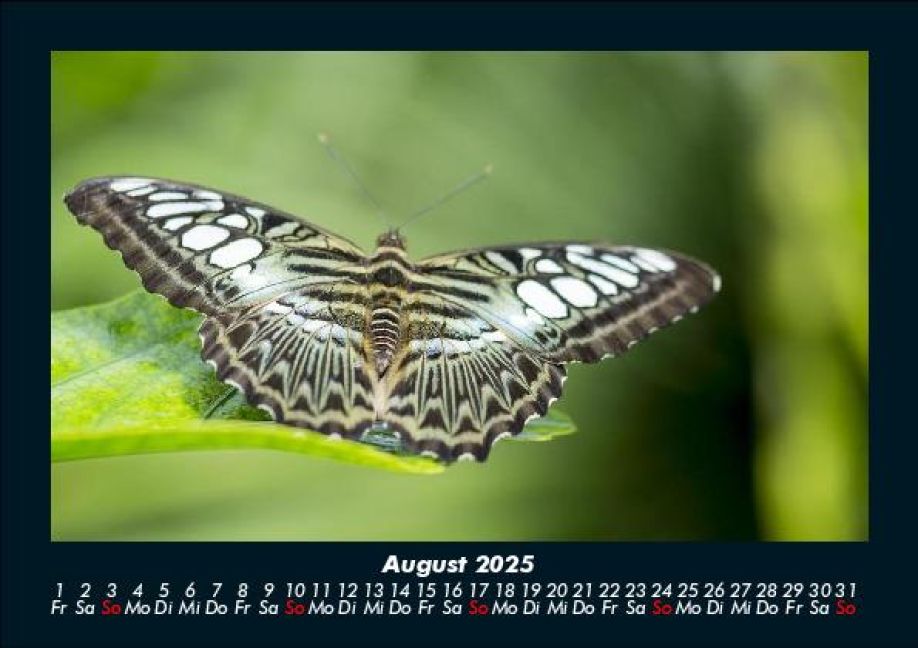 InsideView 12