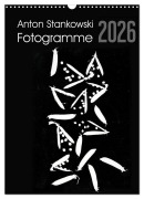 Cover-Bild zum Titel 'Anton Stankowski Fotogramme (Wandkalender 2026 DIN A3 hoch), CALVENDO Monatskalender' von 'Anton Stankowski'
