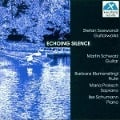 Cover-Bild zum Titel 'Echoing Silence-Guitarworks' von 'Martin/Blumenstingl Schwarz'