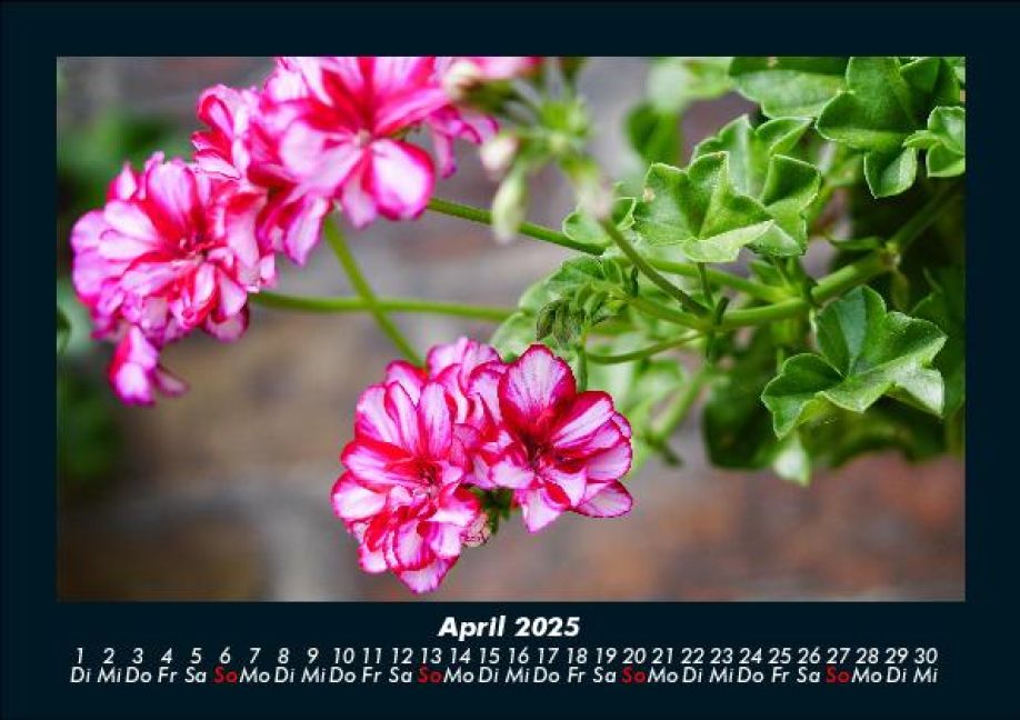 InsideView 8