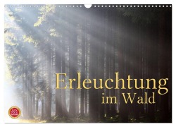 Cover-Bild zum Titel 'Erleuchtung im Wald (Wandkalender 2026 DIN A3 quer), CALVENDO Monatskalender' von 'Martina Cross'