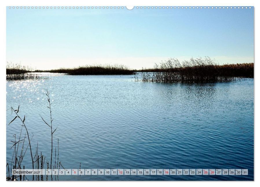 InsideView 3