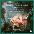 Cover-Bild zum Titel 'SENSITIVE STYLE MUSIC FOR FLUTE & HARP; Works by A' von 'Andrew Lawrence-King Laurence Dean'