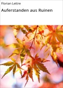 Cover-Bild zum Titel 'Auferstanden aus Ruinen' von 'Florian Lettre'