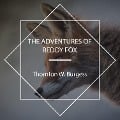 Cover-Bild zum Titel 'The Adventures of Reddy Fox' von 'Thornton W. Burgess'