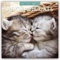 Adorable Cats - Liebenswerte Katzen 2025 - 16-Monatskalender - Robin Red
