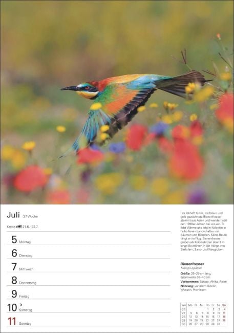 InsideView 8