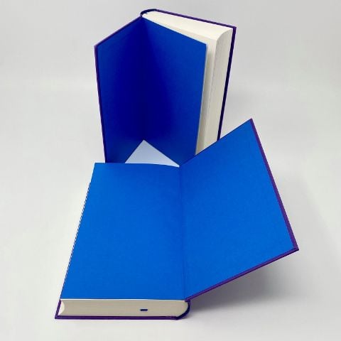 InsideView 5