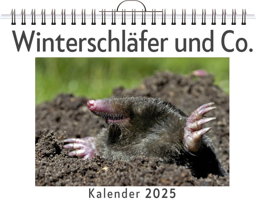 Winterschläfer und Co. - Amelia Braun