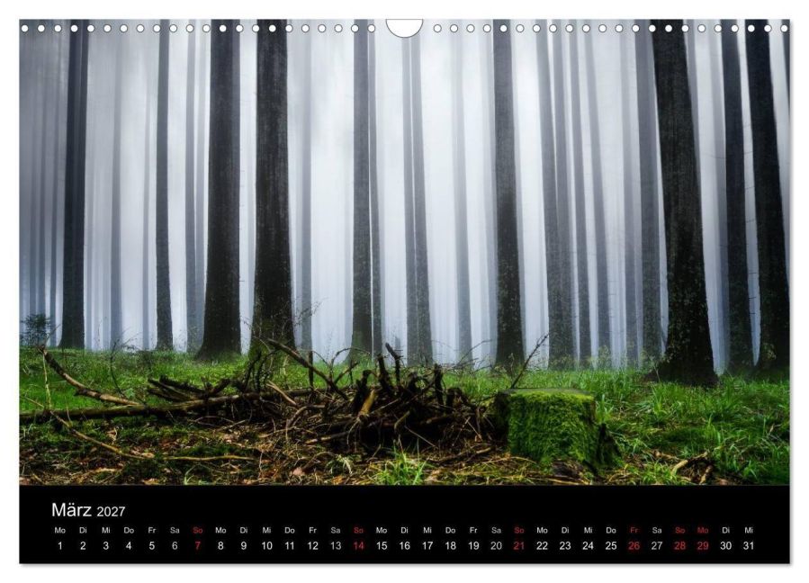 InsideView 8