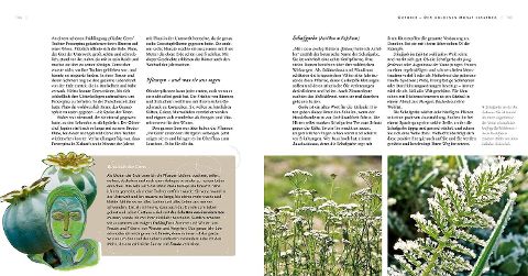 InsideView 5