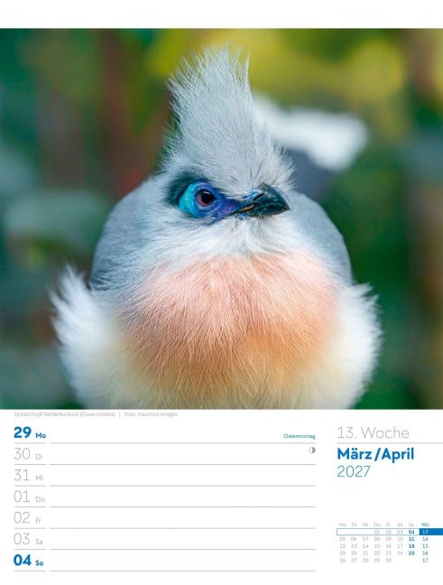 InsideView 17