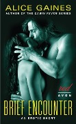 Cover-Bild zum Titel 'Brief Encounter' von 'Alice Gaines'