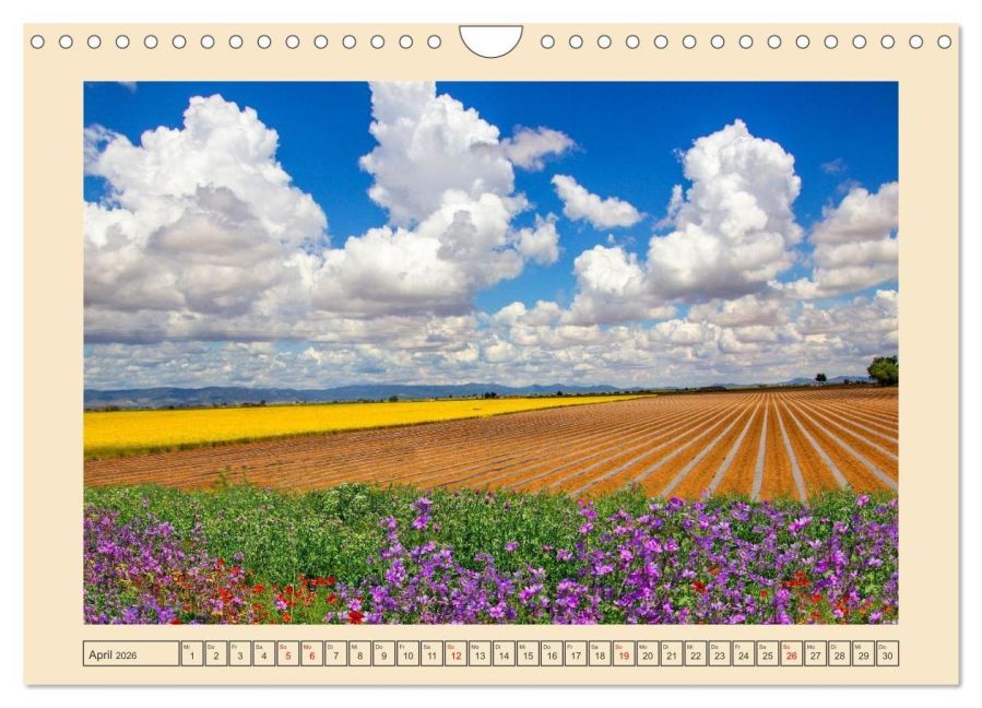InsideView 9