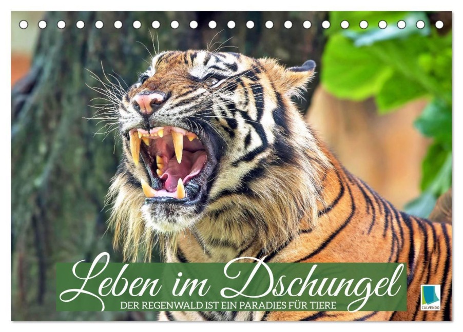 Leben im Dschungel: Der Regenwald ist ein Paradies für Tiere (Tischkalender 2026 DIN A5 quer), CALVENDO Monatskalender - Calvendo Calvendo