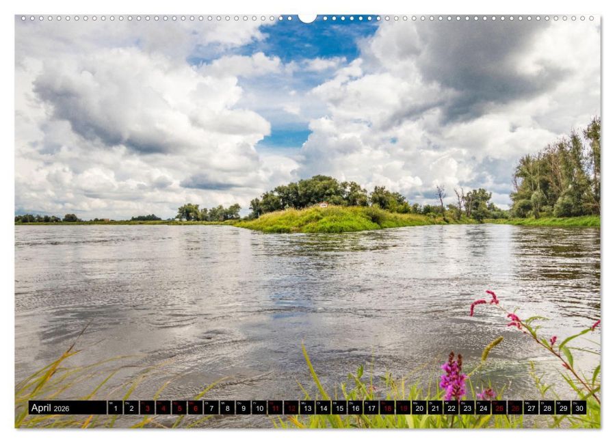 InsideView 8