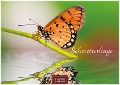 Schmetterlinge 2025 L 35x50cm - 