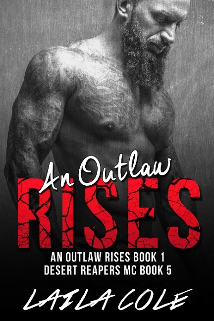 An Outlaw Rises - Book 1 (Desert Reapers MC, #5) - Laila Cole