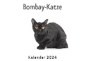 Bombay-Katze (Wandkalender 2024, Kalender DIN A4 quer, Monatskalender im Querformat mit Kalendarium, Das perfekte Geschenk) - Anna Müller