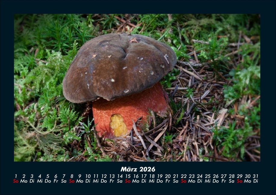 InsideView 7