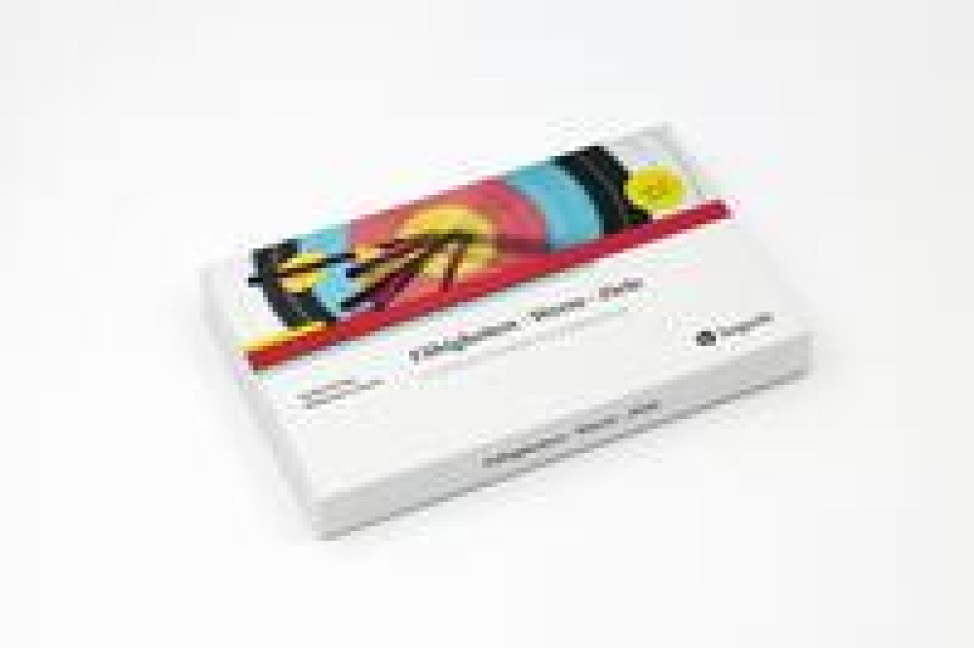 Fähigkeiten - Werte - Ziele - Axelle de Roy, Madeleine Lomans