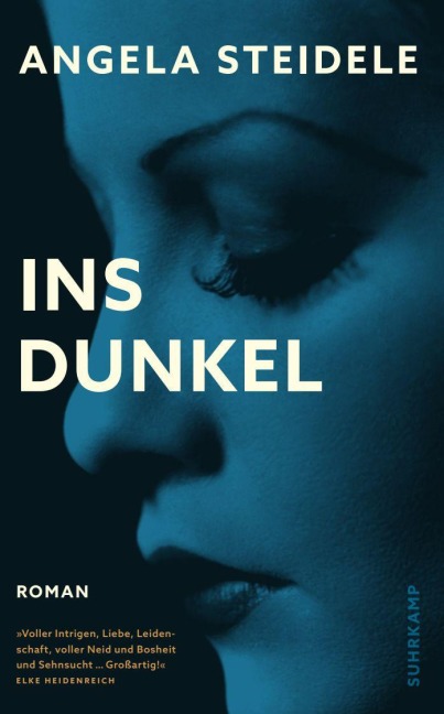 Ins Dunkel - Angela Steidele