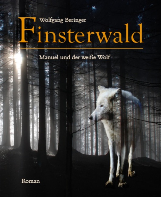 Finsterwald - Wolfgang Beringer