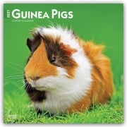 Cover-Bild zum Titel 'Guinea Pigs - Meerschweinschen 2027 - 16-Monatskalender' von 'Browntrout Publishers'