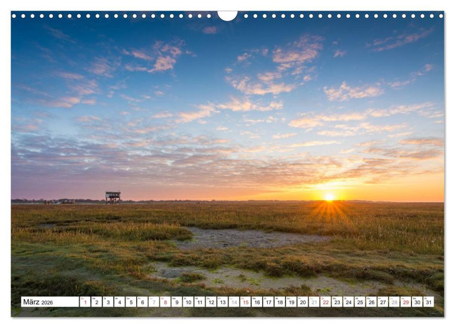InsideView 8