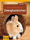 Cover-Bild zum Titel 'Spiel- und Wohnideen für Zwergkaninchen' von 'Esther Schmidt'