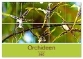 Orchideen Bildergalerie (Wandkalender 2025 DIN A3 quer), CALVENDO Monatskalender - Nina Schwarze