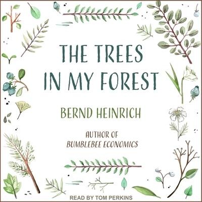 The Trees in My Forest - Bernd Heinrich