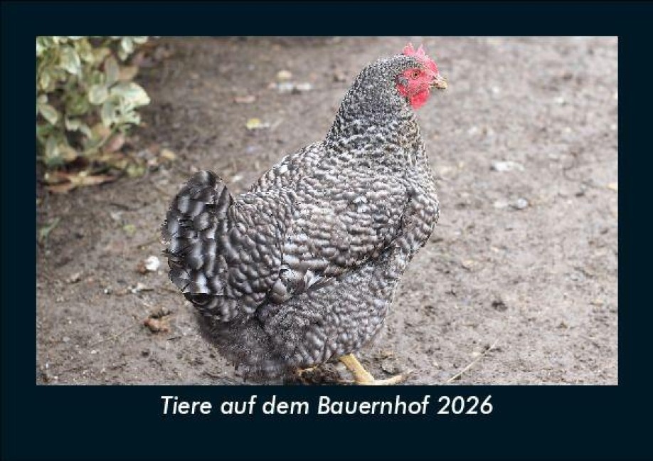 Tiere auf dem Bauernhof 2026 Fotokalender DIN A5 - Tobias Becker