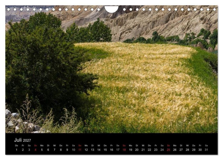 InsideView 12