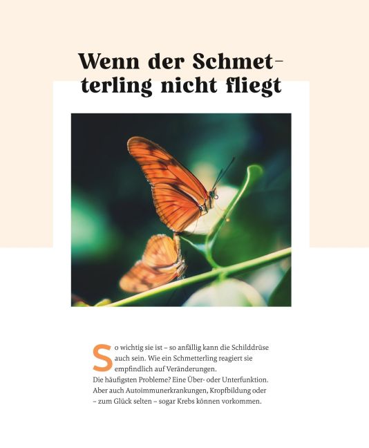 InsideView 19