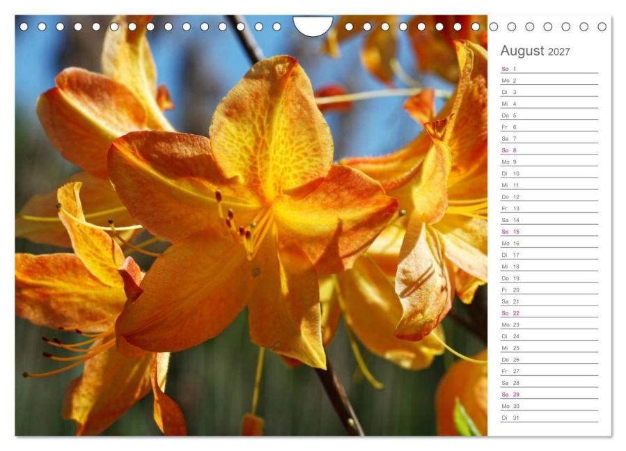 InsideView 13