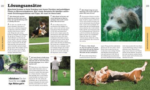 InsideView 8