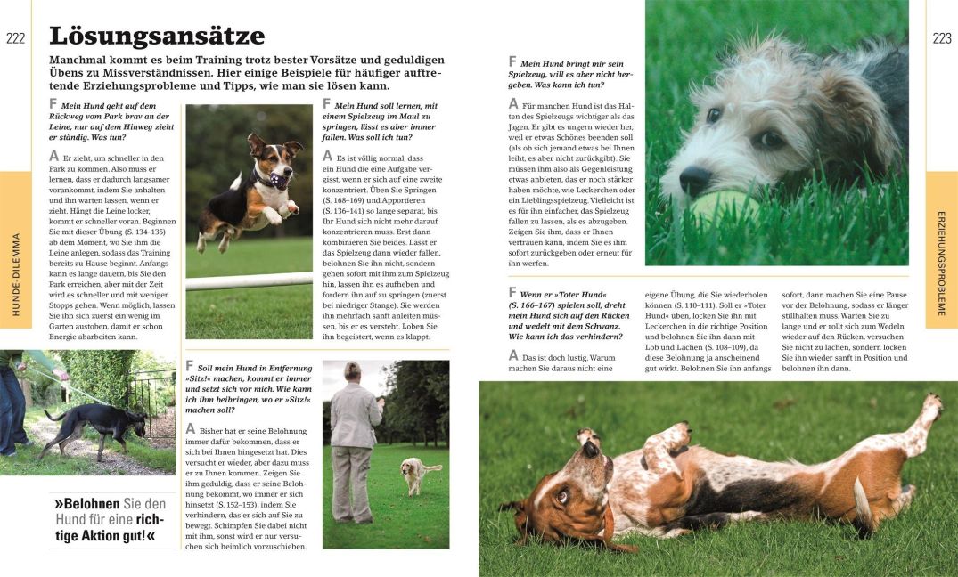 InsideView 8