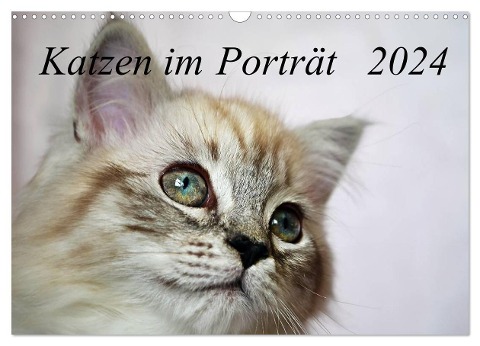 Katzen im Porträt / Geburtstagskalender (Wandkalender 2024 DIN A3 quer), CALVENDO Monatskalender - Jennifer Chrystal