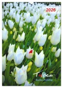 Cover-Bild zum Titel 'Tulpen. Bunter Frühling (Wandkalender 2026 DIN A3 hoch), CALVENDO Monatskalender' von 'Eugeniya Kareva'