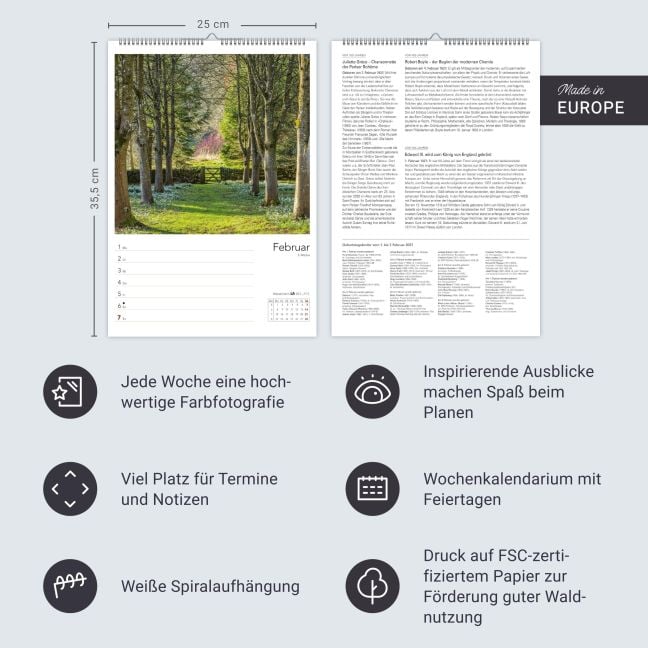 InsideView 13