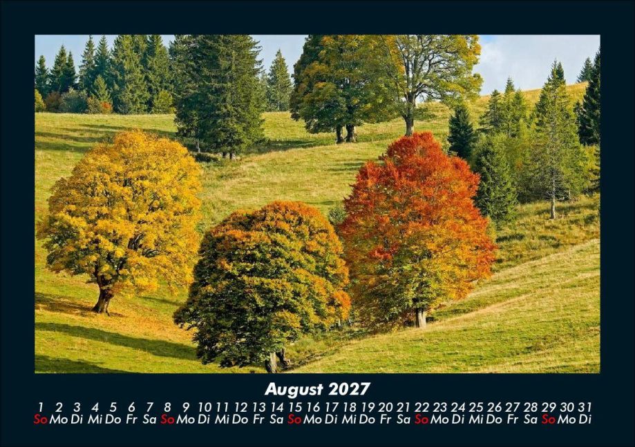 InsideView 12