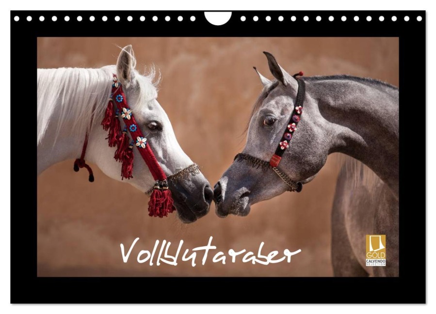 Vollblutaraber (Wandkalender 2026 DIN A4 quer), CALVENDO Monatskalender - Francis Tilborghs