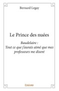 Cover-Bild zum Titel 'Le Prince des nuées' von 'Bernard Legay'