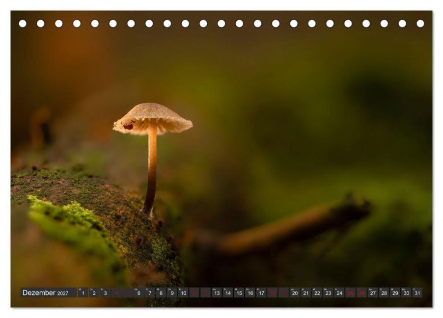 InsideView 4