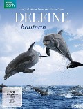Delfine hautnah - Will Gregory