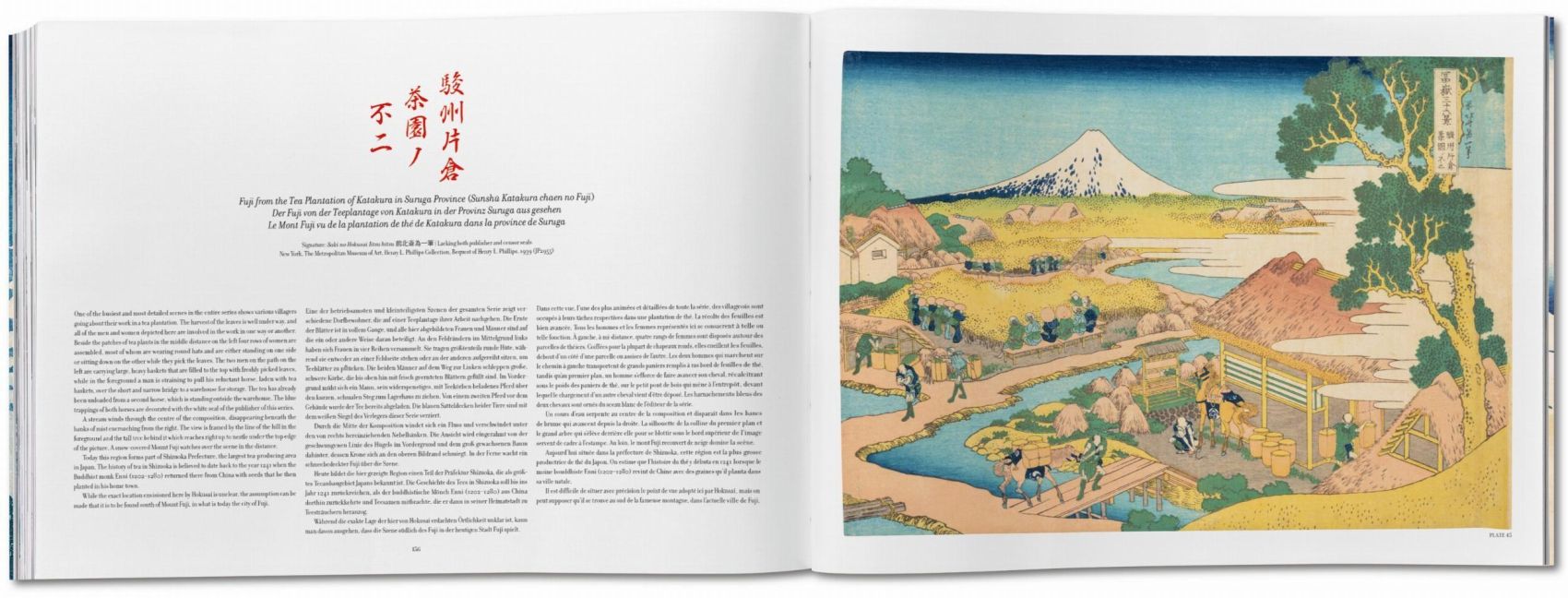InsideView 13
