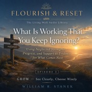 Cover-Bild zum Titel 'What Is Working That You Keep Ignoring?' von 'William R. Stanek'