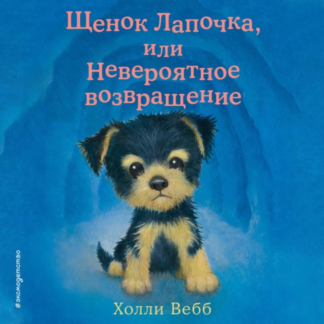 Schenok Lapochka, ili Neveroyatnoe vozvraschenie - Holly Webb